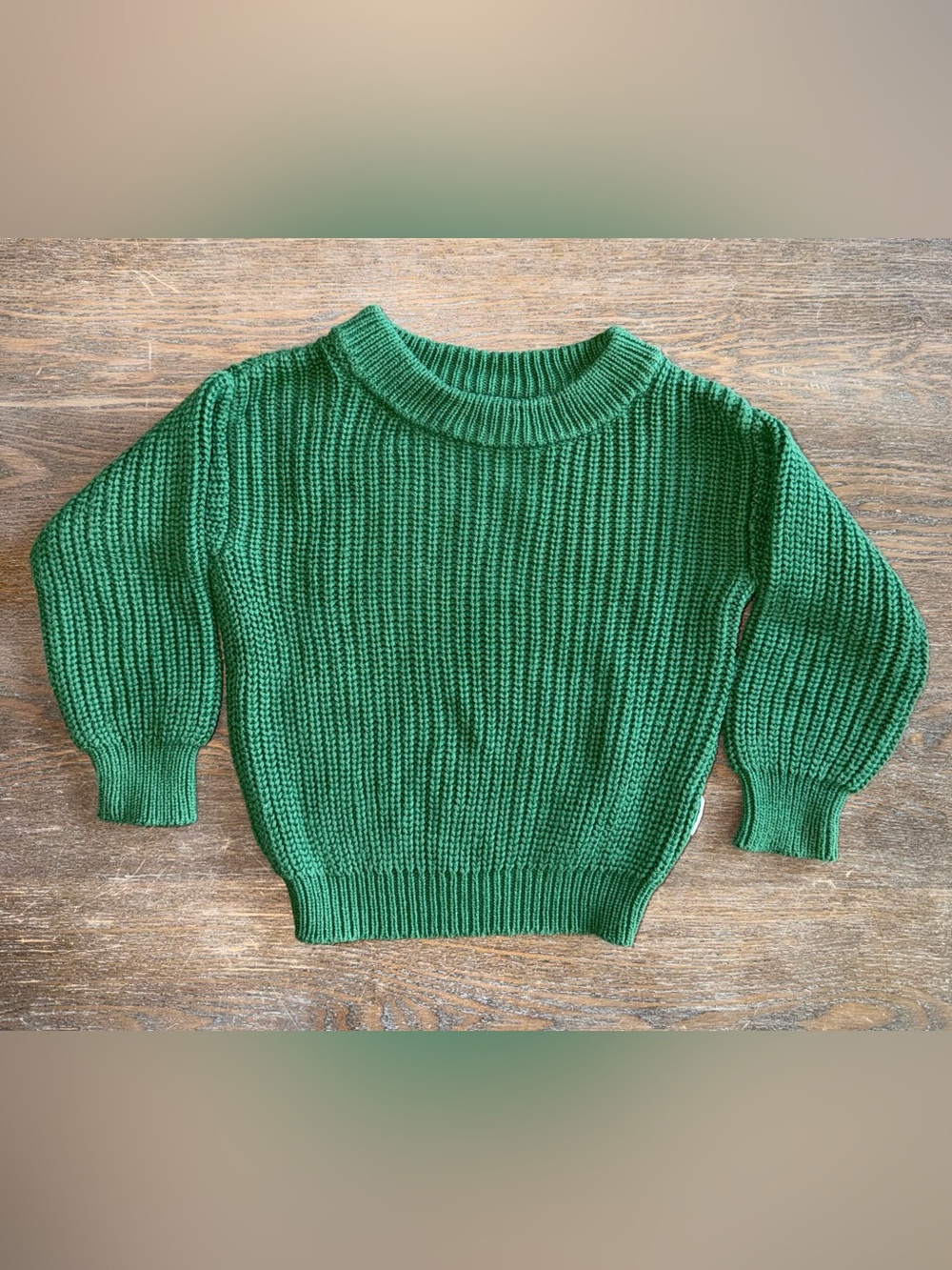 Gigi and Max Forest Sweater size 6-12 mo